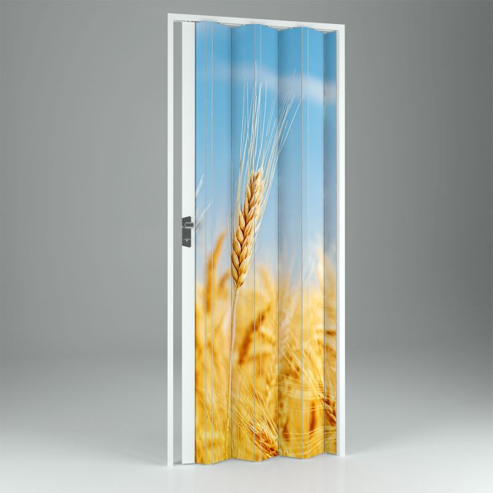 Puerta plegable de interior de PVC Grain 89,5 cm mod.Vera main product photo